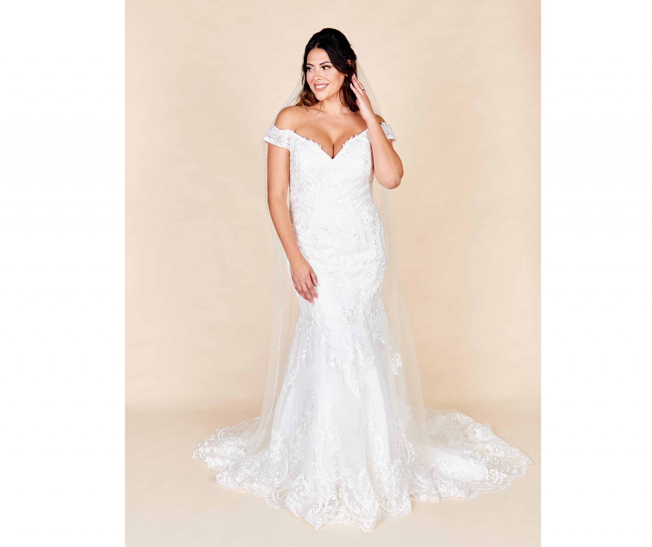 Elegant Lace V Neck Fishtail Wedding Dress for Women (&Plus Size) | eBay